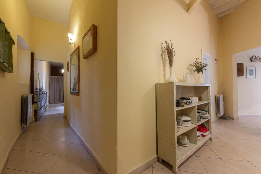 Amble Vintage Apartment 佛罗伦萨 外观 照片